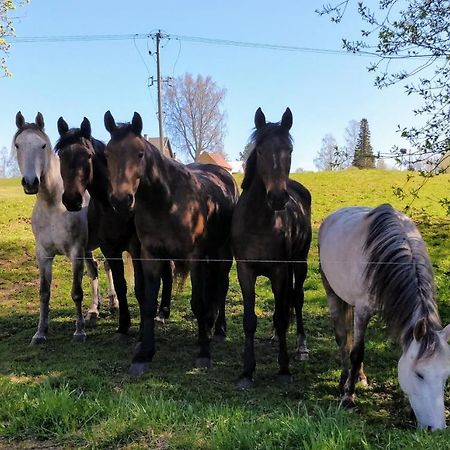Eha Farmstay Rõuge Eksteriør bilde